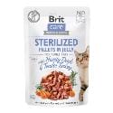 Brit Care Cat Fillets in Jelly Steril Duck&Turkey 85g