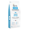 Brit Care Dog Grain-free Junior LB Salmon & Potato12kg