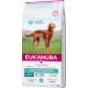 Eukanuba Dog  DC Sensitive Digestion 12kg NEW