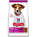 Hill's SP Dog Puppy Small&Mini Lamb 1,5kg