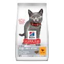 Hill's Fel. Dry SP Kitten Steril. Cat Chicken 1,5kg