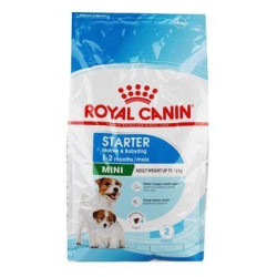 Royal Canin Mini Starter Mother&Babydog 4kg