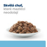 Hill's Fel. kapsa PD K/D + Early Stage - masová kapsička