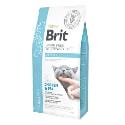 Brit VD Cat GF Obesity 5kg