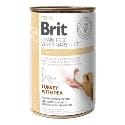 Brit VD Dog GF konz. Hepatic 400g