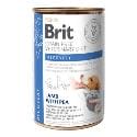 Brit VD Dog+Cat GF konz. Recovery 400g