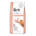 Brit VD Dog GF Renal 12kg