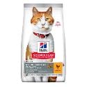 Hill's SP Cat Adult Sterilised Chicken 15kg