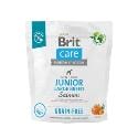 Brit Care Dog Grain-free Junior Large Breed 1kg