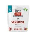 Brit Care Dog Grain-free Sensitive 1kg