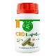 CBD kapsle (600 mg CBD) 60 ks