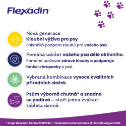 Flexadin 4Life Adult Dog žvýkací 60tbl