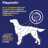 Flexadin 4Life Adult Dog žvýkací 60tbl