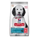 Hill's SP Dog Adult Large Hypoallergenic Salmon 12kg