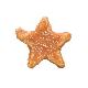 Vánoční buvolí hvězdičky Denta Star s kuřecím 150ks