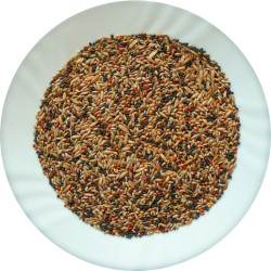  Avicentra Classic menu kanár 500g