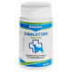 Canina Caniletten 300g