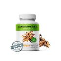 Cordyceps CS4  90tbl