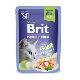 Brit Premium Cat D Fillets in Jelly with Trout 85g