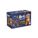 Brit Premium Dog Fillets Gravy Multipack 1020g