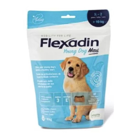 Dárek Flexadin Young Dog Maxi 60tbl