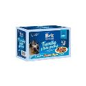 Brit Premium Cat D Fillets in Gravy Family Plate 1020g