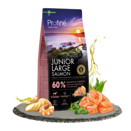 Profine Dog Dry Junior Large Salmon 12kg