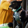 Postroj Travel Harness ECO ostružinový 5-10kg