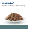 Hill's Fel. PD W/D kapsa 12x85g
