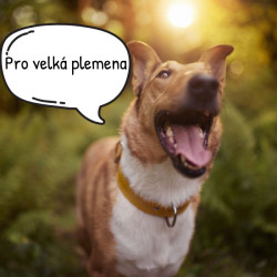 Brit Care pro psy jehněčí 12kg