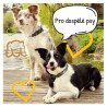 Brit Care pro dospělé psy lamb and rice 12kg