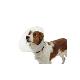 Límec ochranný BUSTER plastový Classic Collar 10cm