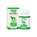 Roboran Chondro 7 pro psy 60tbl