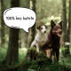 Wolfsblut VetLine Hypoallergenic dieta pro psa