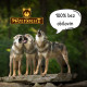 Wolfsblut psí granule losos a jehněčí