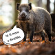 Mixáno do špajzu BARF divočák