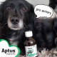 Aptus Apto-Flex VET sirup 500ml kloubní výživa