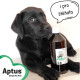 Aptus Apto-Flex VET sirup 500ml psí kloubní výživa