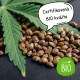 Konopné pokrutiny pro psy