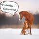Konopné pokrutiny pro psy i koně 20 kg
