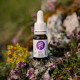 Ecopets Dog&Cat LESNÍ KAPKA-proti klíšťatům 10ml