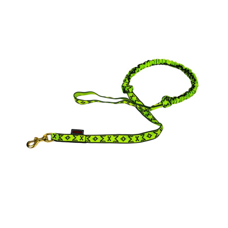 Manmat CANICROSS C zelená 2 m
