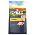 Ontario Adult Mini Fish & Brown Rice 6,5kg