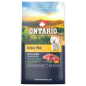 Ontario Senior Mini Lamb & Brown Rice 6,5kg