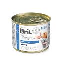 Brit VD Dog+Cat GF konz Recovery 200g