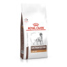 Royal Canin VD Canine Gastro Intest Low Fat  6kg