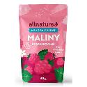 Allnature Malina sušená mrazem celá 30g