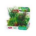 Rostliny akvarijní PLANTKIT 4 sada M Zolux