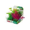 Rostliny akvarijní PLANTKIT 4 sada MINI 6ks Zolux