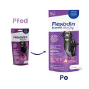 Flexadin Adult Dog žvýkací 60tbl